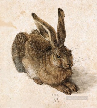 Albrecht Durer Painting - A Young Hare Albrecht Durer